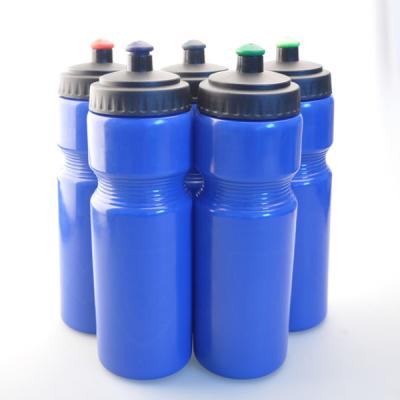 China Sustainable Promotion High Quality Fleece 700ml Custom Printing Plastic Bottle for sale