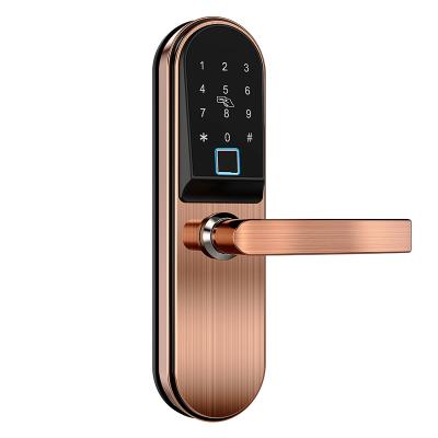 China Remote Delete/Change User Password/Card/Ttlock Smart Alexa Gate Locks Wifi Home Electric Smart Lock Fingerprint Keyless Entry Finger Ekey Cardoria Door for sale