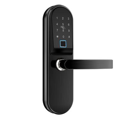 中国 Remote Delete/Smart Apartment Smart Door Lock Change User Password/Ekey Rfid Stainless Steel Fingerprint Wifi Door Lock/Card Key Card With Ttlock Password 販売のため