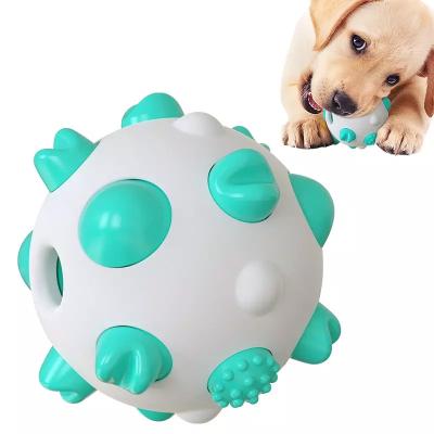 China Wholesale Pet Viable Supplies Pet Toys For Chewing Dog Toy Ball Molar Toothbrush for sale