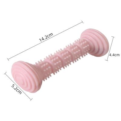 China Molar Sustainable Bite Toothbrush Stick Toy Dog Chew Teeth Cleaning Pet Dumbbell Durable TPR Soft To Pursue Training Toys for sale