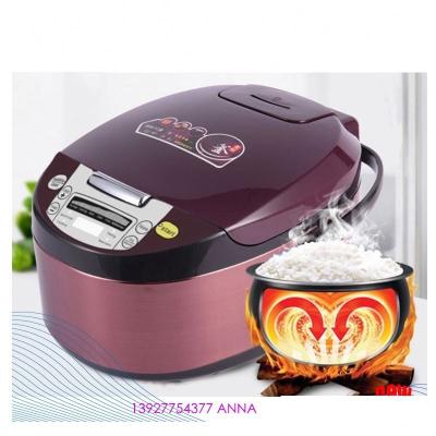 China Auto Cooking Mount 5L Multifunctional Auto Electric Smart Digital Keep Warm Rice Cooker for sale