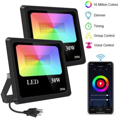 China LANDSCAPE Tuya APP Wifi 30w Smart LED Flood Light with ETL and FCC Listed for sale