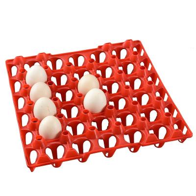 China Trayegg Best Price Recyclable Plastic Eggs 30 Chicken Egg Tray Red Plastic Tray for sale