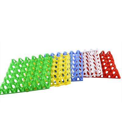 China Wholesale professional low price recyclable supplier pp plastic egg tray cartons for sale for egg transfer 29*29*5cm plastic egg tray for sale