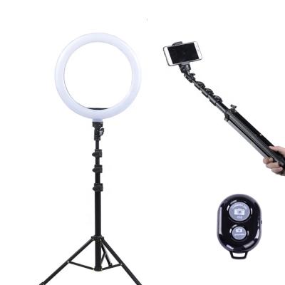 China PORTABLE Hot Selling Photographic Video Conference Lighting LED Selfie Ring Light with Tripod for sale