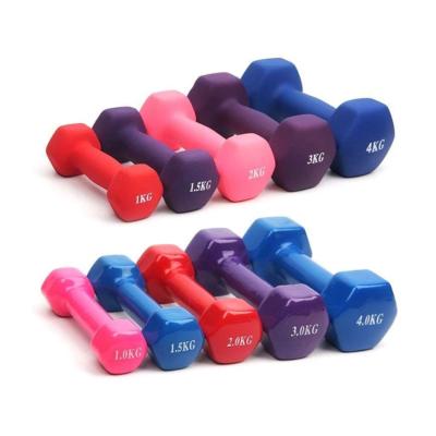 China New Eco - Friendly Sports Dumbbell Weights Pair For Home Gym Yoga Fitness Exercise for sale