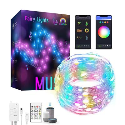 China Portable Built-in Microphone Multi Color Changing With Music Wifi Home Smart Fairy Lights Led String for sale