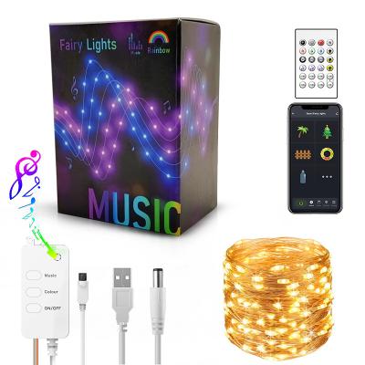 China Christmas Wedding Party LED String Light Copper Wire Fairy Lights Portable RGB USB APP Remote Control Home Decor for sale