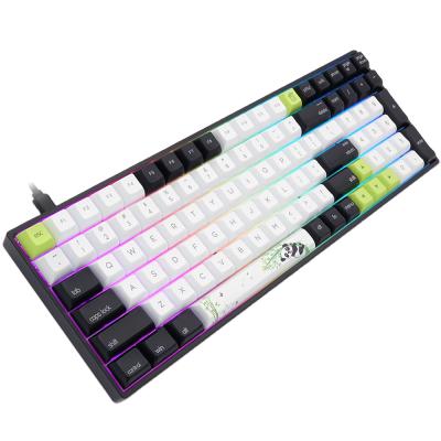 China SK96 Gateron RGB 96keys PBT Colorful Wired Keycaps Plug and Play Optical Mechanical Keyboard 90% Switch for sale