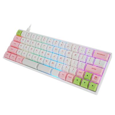 China Hotsale RGB GK64 Gateron SK64 GSA Switch Plug-and-play Wired pbt keycaps hotswap dye-sub mechanical gaming keyboard for sale