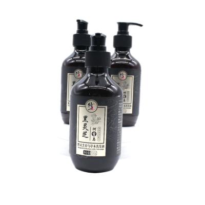 China Regenerating Customized Label Special Plant Extract, Reduce Hair Loss, Repair Bifurcations, Ganoderma Black Lucidum Herbal Nourishing Shampoo for sale