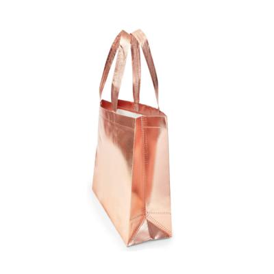 China Recyclable Factory Price Promotion Tote Shopping Recyclable Non Woven Bag for sale