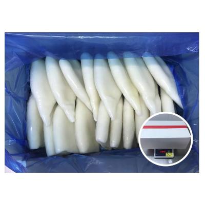 China Manufacturer Price Giant Fishing Nutritious Hot Selling Calamari Squid Fresh Frozen Tube Whole Round for sale