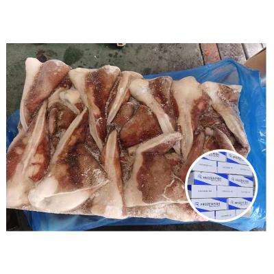 China Good Quality Hot Sale Giant Squid Tail Nutritious Indian Tip Jelly for sale