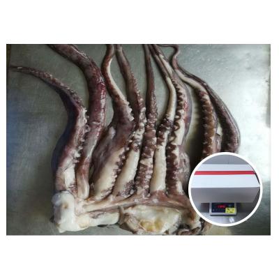 China NATURE frozen food squid head and tentacle bqf for sale