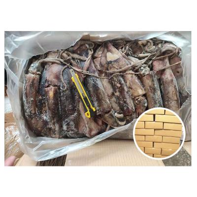 China New Landing Nutritious Sea Frozen Indian Squid 100-300g for sale