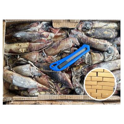 China Sthenoteuthis Oualaniensis Size 100-200g Nutritious Frozen Indian Squid for sale