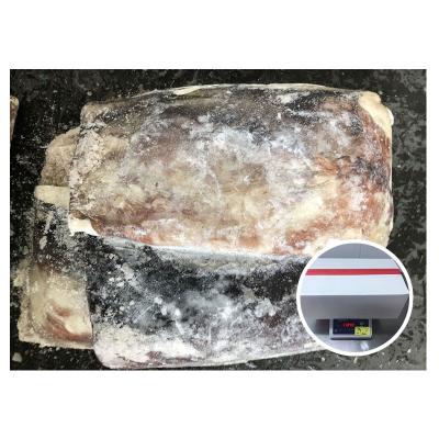 China Nutritious Chinese Factory Supplier High Quality Cheap Price Giant Squid Meat Frozen Squid Fillet With Skin for sale