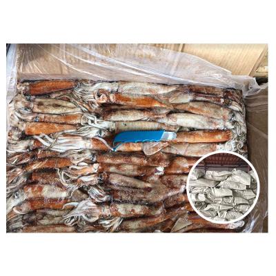 China Nutritious Hot Selling Customizable Squid With Competitive Price West Africa Frozen Squid for sale