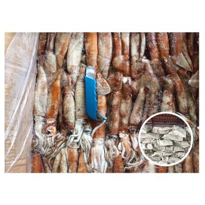 China West Africa Nutritious Frozen Calamari Red Squid for Seychelles 100g Below for sale