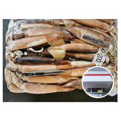 China Healsea Products Nutritious Hot High Quality Frozen Foods Fish Pacific Squid Wholesale for sale