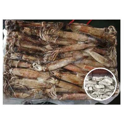 China Nutritious Frozen Squid Food /Japanese Flying Squid for sale