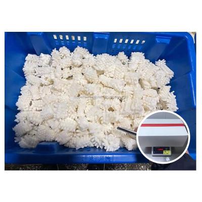 China High Quality Nutritious Cooked Boiled Frozen Blanched Ring Cut Iqf India Loligo Illex Giant Squid Flower for sale