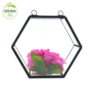 China 2019 CLASSIC new style plant glass flower vase for home decoration mini greenhouse for plants for sale