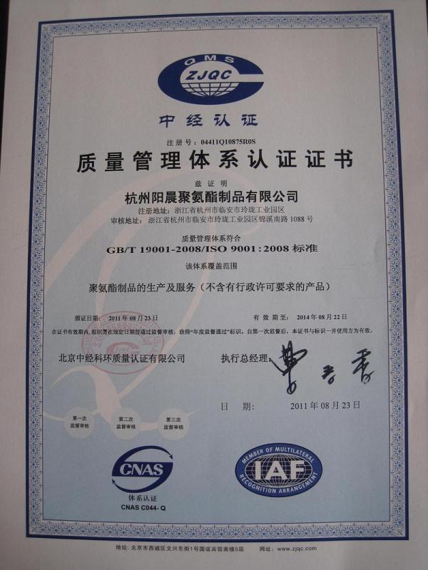 ISO9001 - Hangzhou Yangchen Polyurethane Co., Ltd.