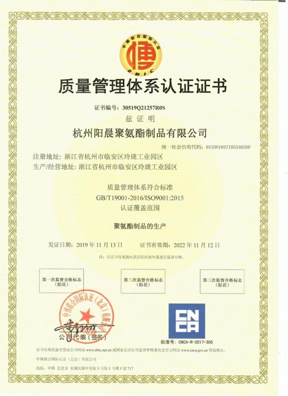 ISO9001 - Hangzhou Yangchen Polyurethane Co., Ltd.