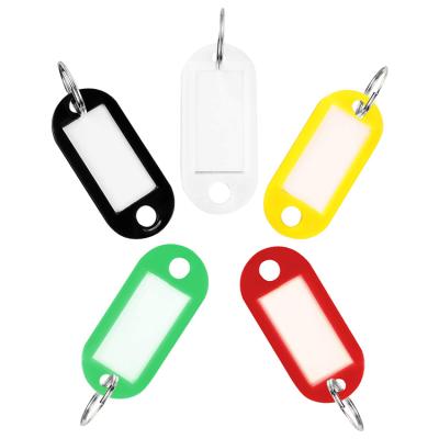 China Custom Logo Plastic Dog Cat Tag Key Chain Pets Name Tag Key Holder for sale