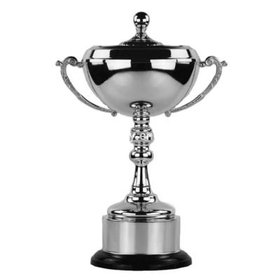 China China Trophy Sports Souvenirs Club Champions Trophy , Custom Design Trophy Awards for sale