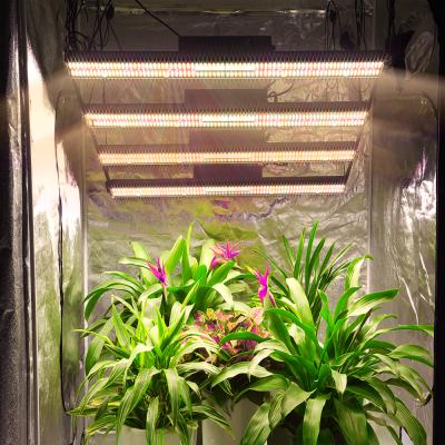 China 4 Independent Switches High Efficiency Spectrum King 3000k 5000k 301h 5x5 Foldable 8 Bar Grow Light 800w IR UV For Indoor Plants for sale