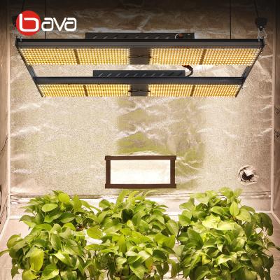 China Adjustable radiator with frame BAVA Shenzhen 2019 best 550 v2 480w grow lamp 3500k v3 qb288 Samsung lm301h grow light for sale