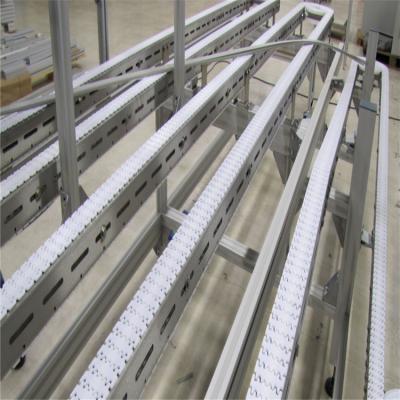 Κίνα 2020 Customized Conveyor Flexible Chain conveyor straight chain conveyor προς πώληση