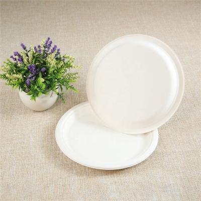 China Custom Made Eco Friendly Sugar Cane Bagasse 10inch Round Plate 100% Biodegradable Tableware for sale