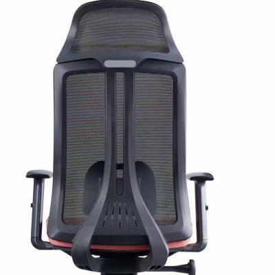 China Foshan Dana Office Furniture Factory Supplier Adjustable Mesh Office Chair Ergonomic Adjustable Chair Office Work Chair (Height) for sale