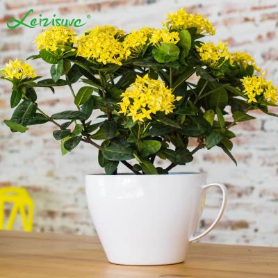 China Modern silver top quality cup shaped pp selfwatering planting trees plastic flowerpot BZ01 for sale