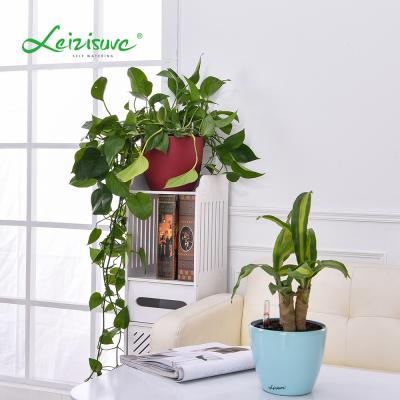 China Modern small indoor decoration flower pots selfwatering planter for sale for sale