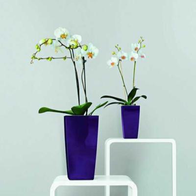 China Large Modern Luxury Colorful Plant Pot Square Decoration Hotel Plastic Self Watering Bulk Cheap Flower Pots And Planters For Indoor Floor for sale