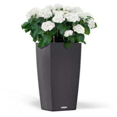 China Lightweight eco-friendly leizisure wholesales China Manufacturer Indoor Outdoor Large Rattan Plastic Plant Pots With Pulley for sale