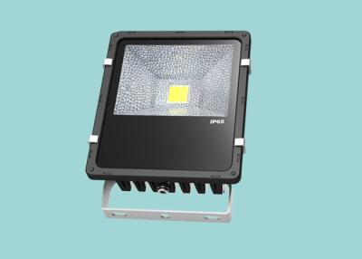 China DC 12V / 24V 50 Watt External LED Flood Lights High Efficiency Black Color for sale