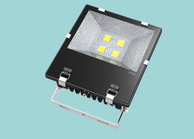 China External COB led flood light 100w 200w High Power Vibration Resistant For Airport / Workshops for sale