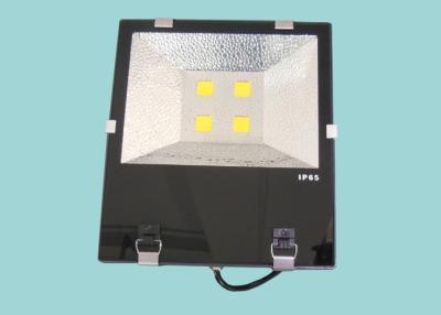 China high lumen Outdoor COB LED Flood Light 200W High Vibration Resistant For Stadium for sale