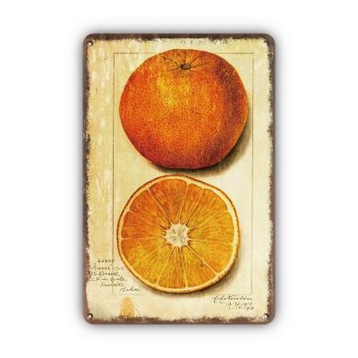 China Europe Fruit Happy Christmas Halloween Holiday Bar Club Background Adorn Plaque Restaurant Beverage Store Western Wall Decor Plaques for sale