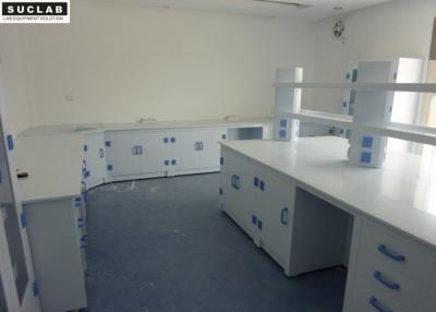 China High School Chemical Lab Furniture 3000L Big Capacity With Reagent Shelf for sale