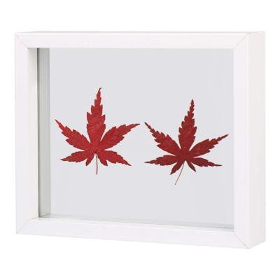 China Eco-Freindly Acrylic 3d Shadow Box Frame Floating Wood Photo Frame For 5