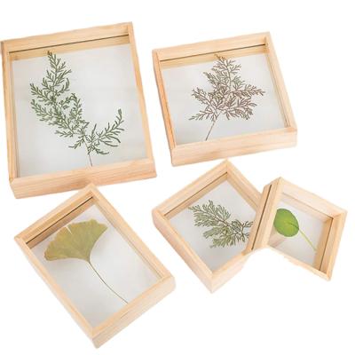 China Floating Eco-Freindly Factory High Quality Glass 4x6 5x7 8x10inch Wooden A4 Double Sided Picture Frame Diy Glass Frames Specimens Frame for sale