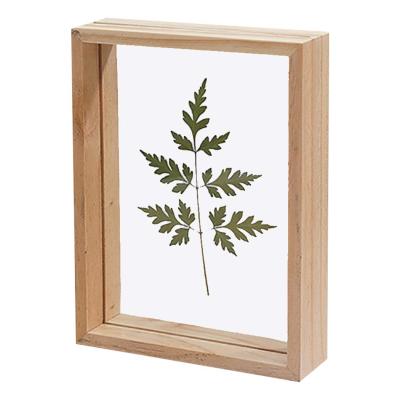 China Factory High Quality Custom Specimen 4x6 Inch Eco-Freindly Double 3d Diy Picture Frame Glass Floating Frame Pressed Flower Floating Frames for sale